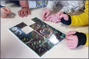 Faune Essonne - Interventions ludiques à l'école élémentaire de Vert-le-Grand Faune Essonne - Interventions ludiques à l'école élémentaire de Vert-le-Grand
