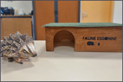 Faune Essonne - Interventions ludiques à l'école élémentaire de Vert-le-Grand Faune Essonne - Interventions ludiques à l'école élémentaire de Vert-le-Grand