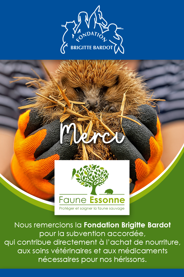 Soutien de l'association Faune essonne par la Fondation Brigitte Bardot Soutien de l'association Faune essonne par la Fondation Brigitte Bardot
