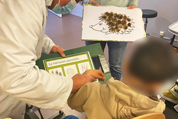 Faune Essonne - Atelier de sensibilisation sur le hérisson Faune Essonne - Atelier de sensibilisation sur le hérisson
