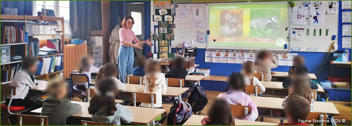 Photo Faune Essonne - Interventions ludiques à l'école élémentaire d'Angervilliers