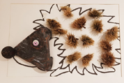 Photo Faune Essonne - Exposition à la Médiathèque de Vaucresson