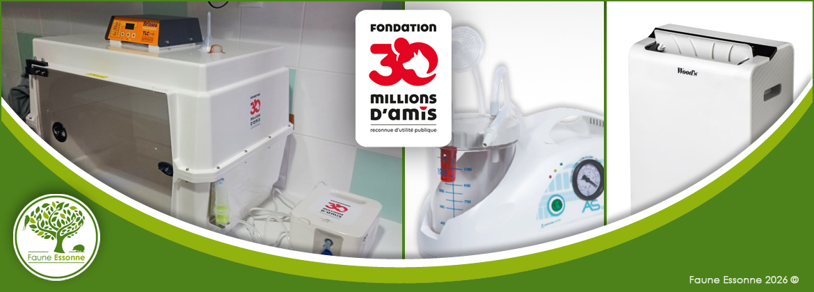 Avec le Soutien de la Fondation 30 Millions d'Amis