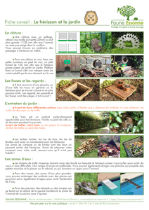 Fiche le Hérisson et le jardin