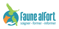 Faune Alfort - Soins de la Faune Sauvage